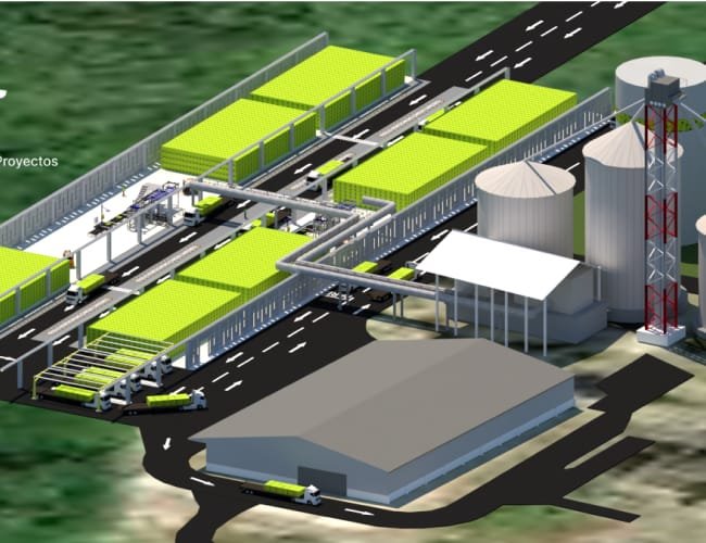 Distribución Logística Perú - Conclusiones: El impacto de una distribución logística eficiente en el éxito empresarial en Perú